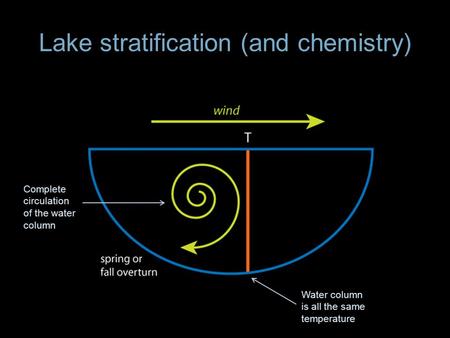 Lake stratification (and chemistry) Water column is all the same temperature Complete circulation of the water column.