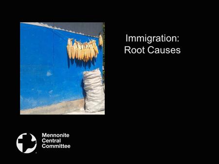 Immigration: Root Causes. Migrations 214 million Estimated number of international migrants worldwide 1 The total number of international migrants has.