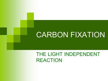 CARBON FIXATION THE LIGHT INDEPENDENT REACTION. Enzyme controlled (Q 10  2) Located in the stroma of the chloroplast Occurs simultaneously with the light.