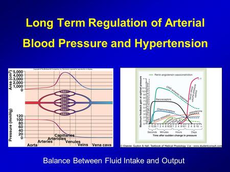 Long Term Regulation of Arterial Blood Pressure and Hypertension