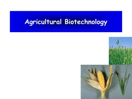 Agricultural Biotechnology