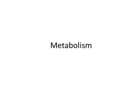 Metabolism.