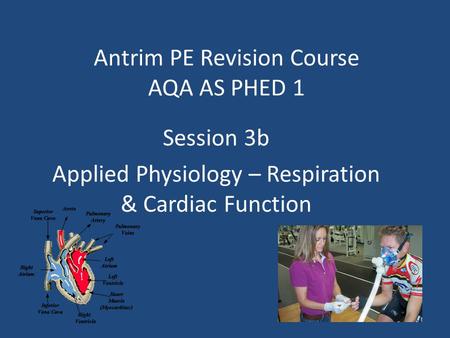 Antrim PE Revision Course AQA AS PHED 1