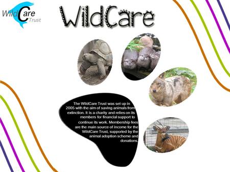 The WildCare Trust was set up in 2005 with the aim of saving animals from extinction. It is a charity and relies on its members for financial support to.