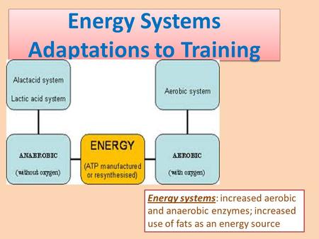 Energy Systems Adaptations to Training