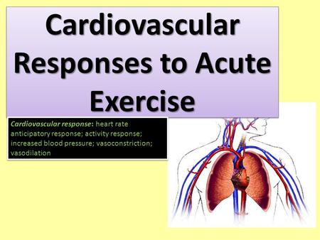 Cardiovascular Responses to Acute Exercise