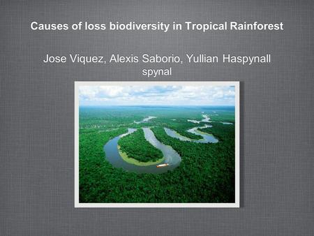 Causes of loss biodiversity in Tropical Rainforest Jose Viquez, Alexis Saborio, Yullian Haspynall spynal Jose Viquez, Alexis Saborio, Yullian Haspynall.