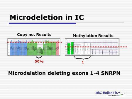 MRC-Holland b.v. Microdeletion in IC Copy no. Results 50% Microdeletion deleting exons 1-4 SNRPN Methylation Results 1.