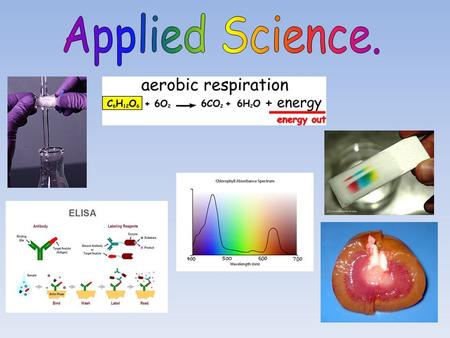 Biological Sciences Nursing Healthcare Sports & Exercise Sciences Pharmacology Health Services Forensic Sciences Medical Research Energy Speech Therapy.