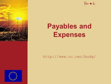 PwC Payables and Expenses