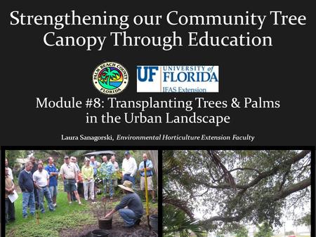 Strengthening our Community Tree Canopy Through Education Module #8: Transplanting Trees & Palms in the Urban Landscape Laura Sanagorski, Environmental.