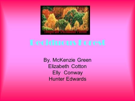 Deciduous Forest By. McKenzie Green Elizabeth Cotton Elly Conway Hunter Edwards.