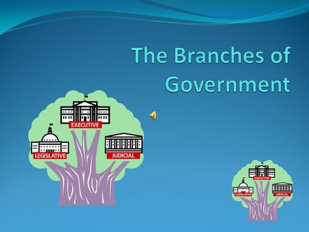 The Branches of Government