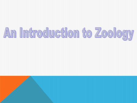 An Introduction to Zoology