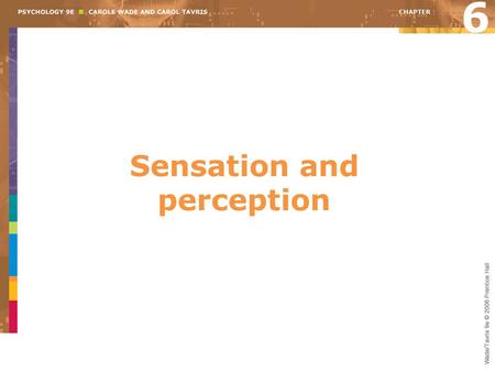 Sensation and perception