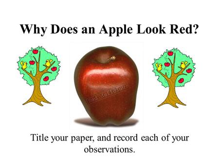 Why Does an Apple Look Red?