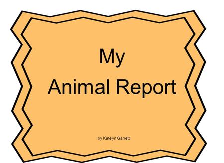 My Animal Report Cover Page Title of the report Author