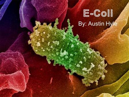 E-Coli By: Austin Hyle.