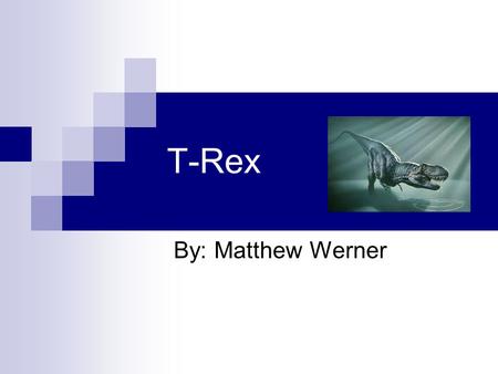 T-Rex By: Matthew Werner.