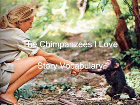 The Chimpanzees I Love Story Vocabulary.