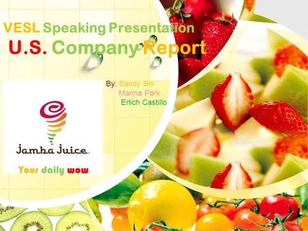 L/O/G/O VESL Speaking Presentation U.S. Company Report Your daily wow By: Sandy Shi Marina Park Erlich Castillo.