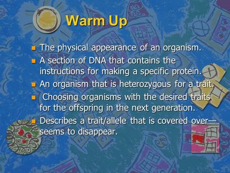 Warm Up n The physical appearance of an organism. n A section of DNA that contains the instructions for making a specific protein. n An organism that.