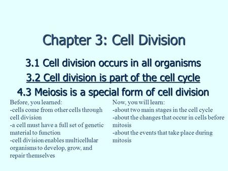 Chapter 3: Cell Division