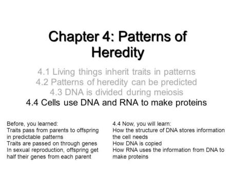 Chapter 4: Patterns of Heredity