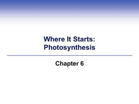 Where It Starts: Photosynthesis