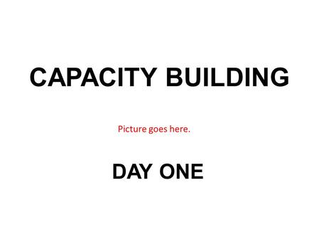 CAPACITY BUILDING DAY ONE Picture goes here.. 1. The instructional facilitator works with all stakeholders to develop roles, responsibilities, and partnership.