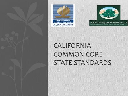 CALIFORNIA COMMON CORE STATE STANDARDS. History of CCSS National State Governors Association Council of Chief State School Officers Work groups and feedback.