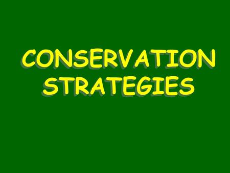 CONSERVATION STRATEGIES