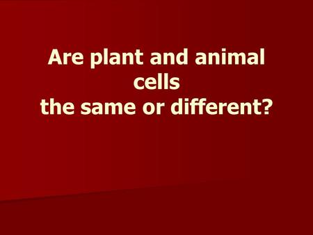 Are plant and animal cells the same or different?