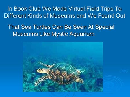 In Book Club We Made Virtual Field Trips To Different Kinds of Museums and We Found Out That Sea Turtles Can Be Seen At Special Museums Like Mystic Aquarium.