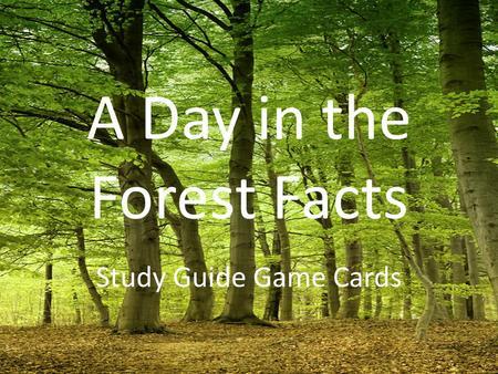 A Day in the Forest Facts Study Guide Game Cards.