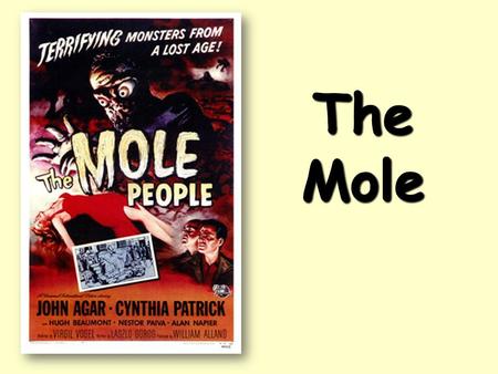 The Mole.