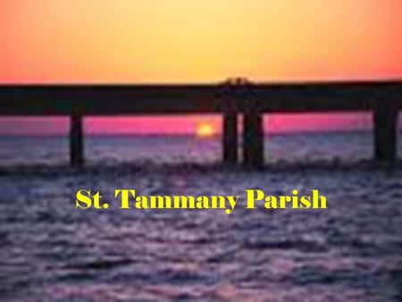 St. Tammany Parish. General Information Established in 1811 One of the Florida Parishes Named in honor of Chief Tammanend, a Delaware chief of the 17.