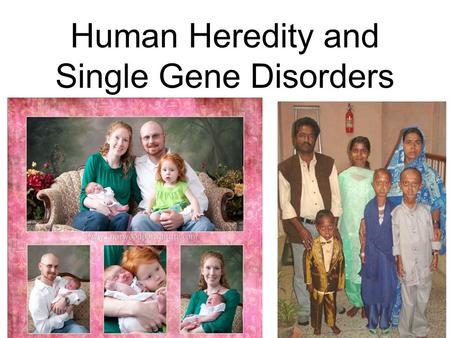 Human Heredity and Single Gene Disorders. Autosomal? These types of gene disorders are only found in chromosome pairs 1-22.