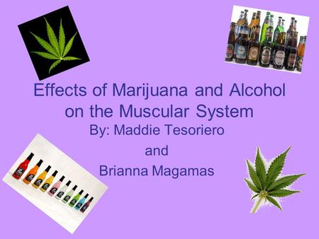 Effects of Marijuana and Alcohol on the Muscular System By: Maddie Tesoriero and Brianna Magamas.