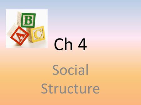 Ch 4 Social Structure.