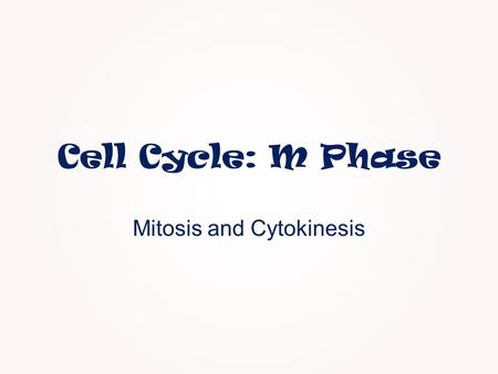 Mitosis and Cytokinesis