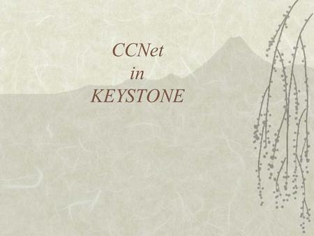 CCNet in KEYSTONE. From CCNet External Review ( October 2009) CCNet’s ROLE As reported by Review Groups and by consumers: *Commenting on reviews, protocols,