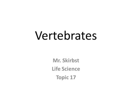 Vertebrates Mr. Skirbst Life Science Topic 17. Phylum Chordata.