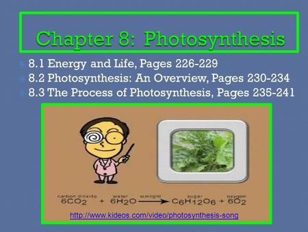 Chapter 8: Photosynthesis