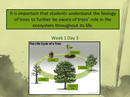 How to Measure & ID Week 1 Day 3