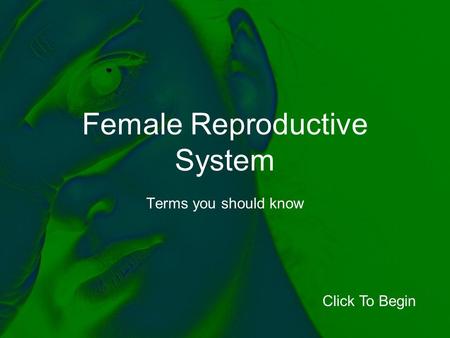 Female Reproductive System