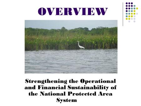 OVERVIEW Strengthening the Operational and Financial Sustainability of the National Protected Area System.