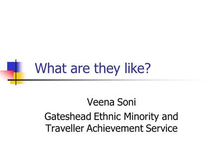 Veena Soni Gateshead Ethnic Minority and Traveller Achievement Service