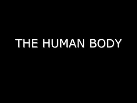 THE HUMAN BODY.