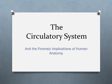 The Circulatory System